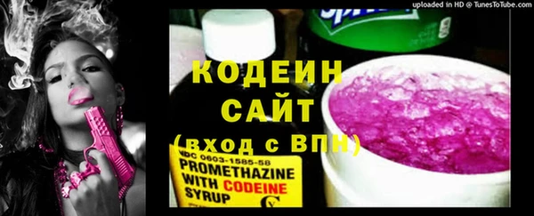 ПСИЛОЦИБИНОВЫЕ ГРИБЫ Арсеньев
