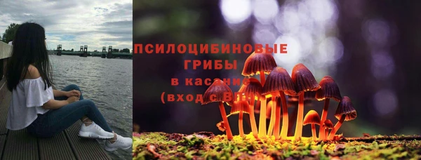 гидра Алзамай
