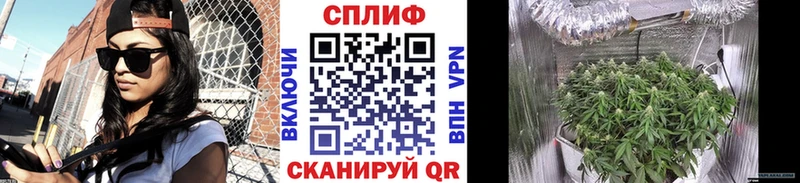 МАРИХУАНА SATIVA & INDICA Чудово